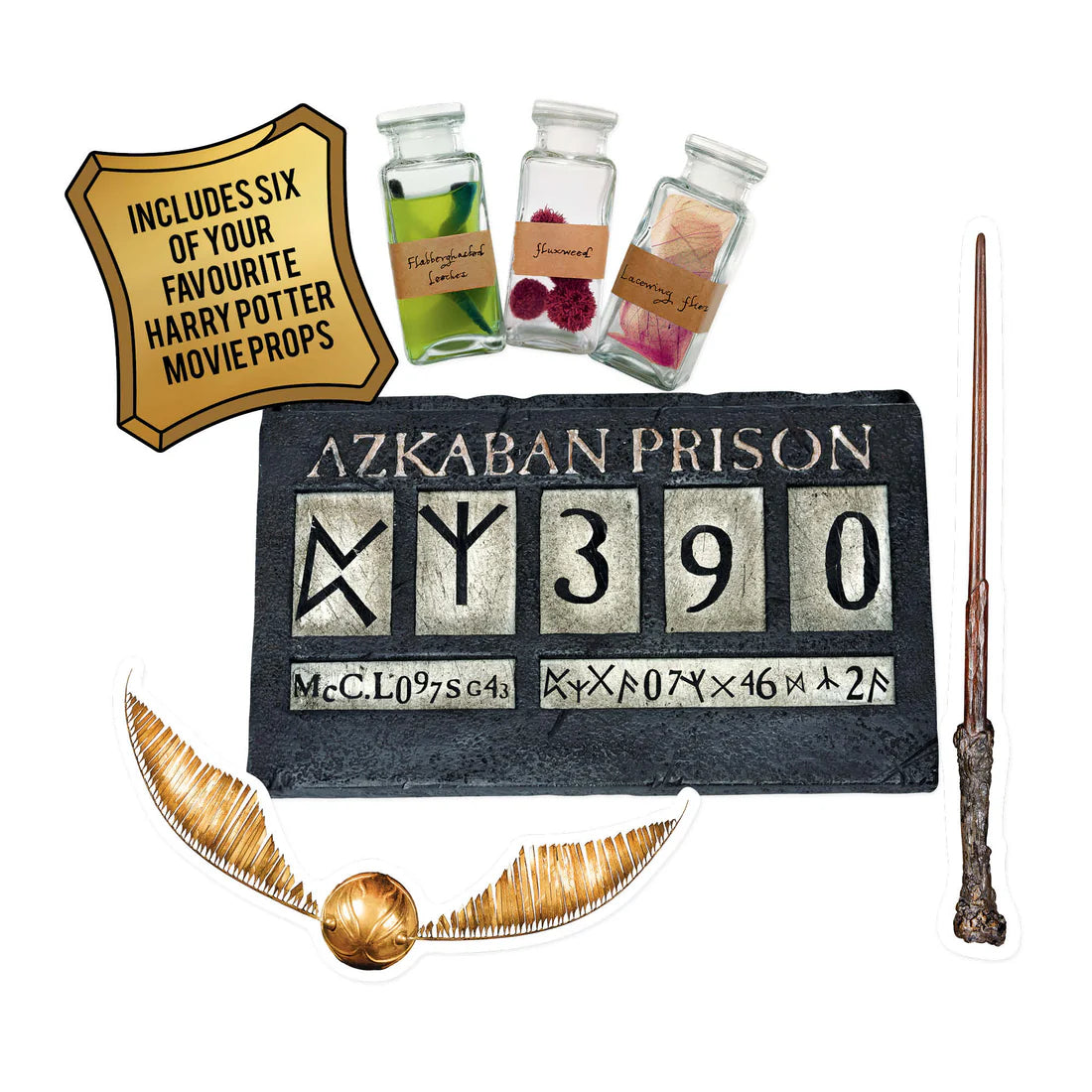 Harry Potter Wanted Poster Gold Selfie Frame