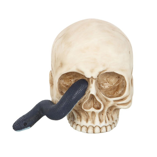 Skull Ornament with Snake