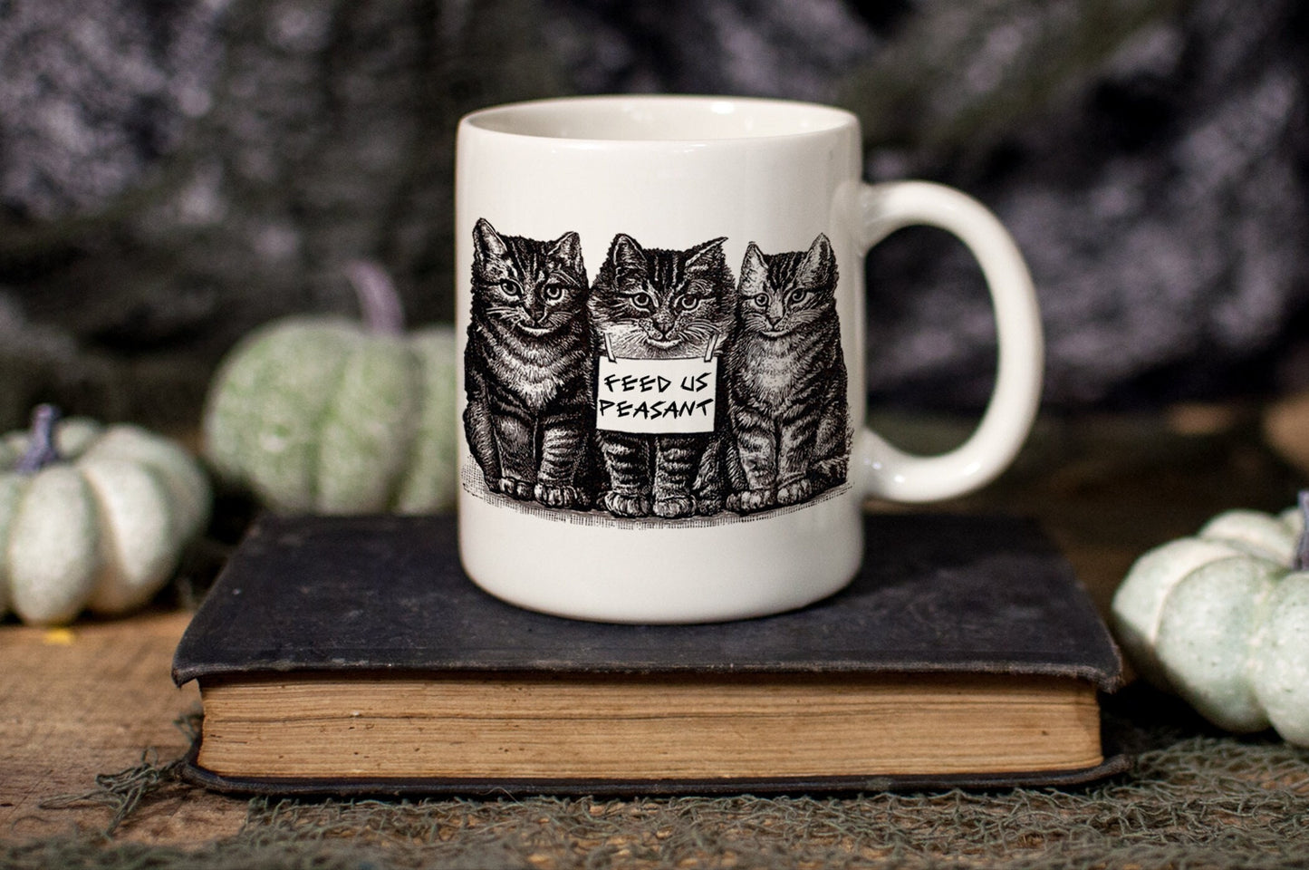 Feed Us Peasant Cat 11oz Ceramic Mug