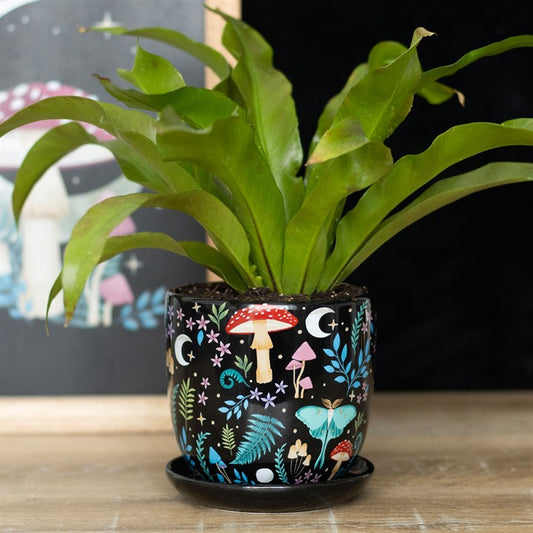 Dark Forest Plant Pot with Saucer