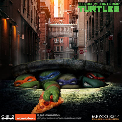 Teenage Mutant Ninja Turtles Deluxe Boxed Set