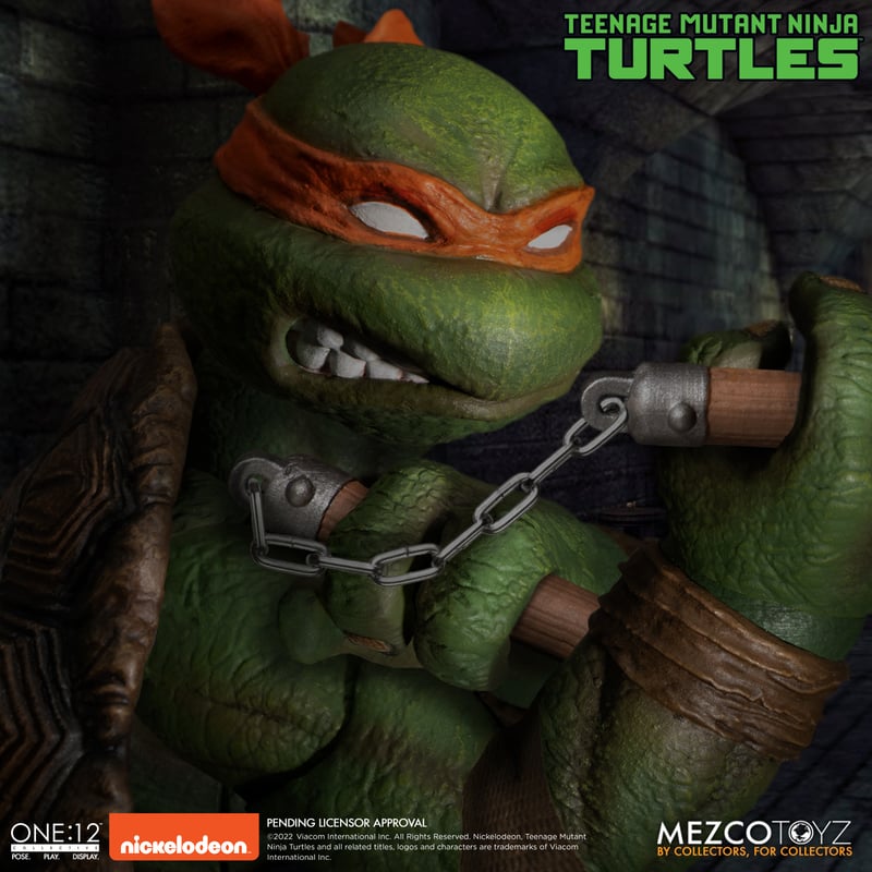 Teenage Mutant Ninja Turtles Deluxe Boxed Set
