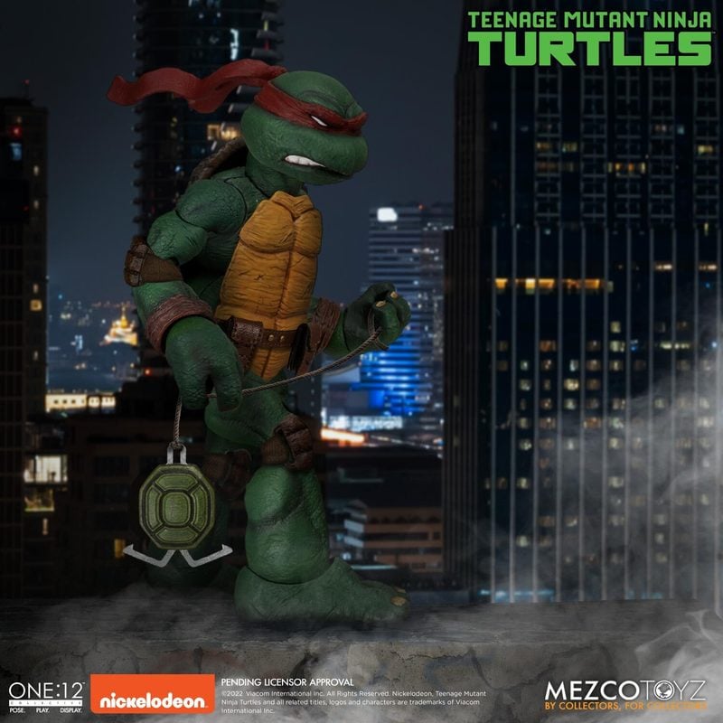 Teenage Mutant Ninja Turtles Deluxe Boxed Set