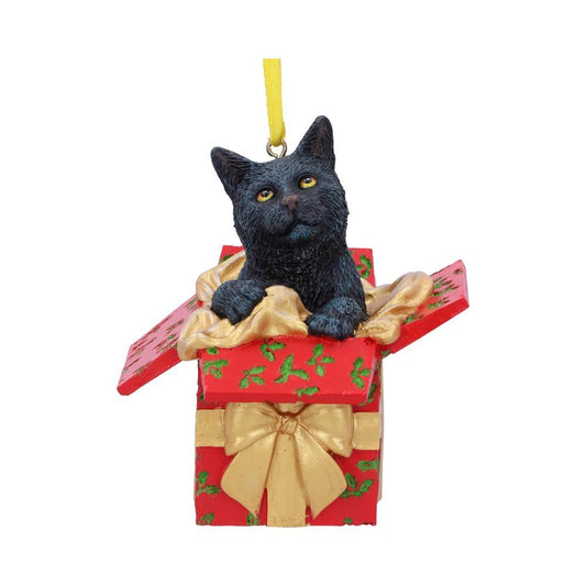 Present Cat Hanging Ornament